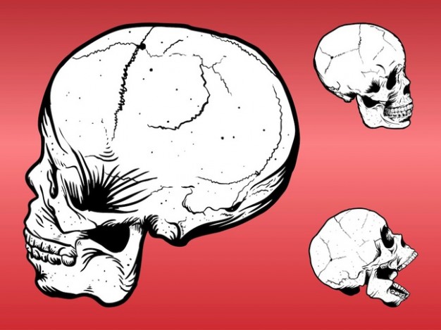 white three skulls with red background